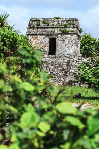 Mex-IMG 7837